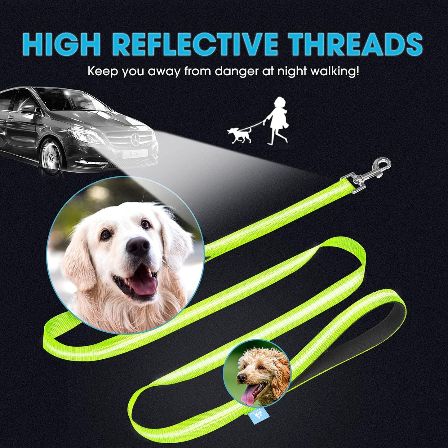 5 Feet Nylon Dog Leash with Triple Reflective Threads and Comfortable Padded Handle for Walking, Training Lead Small Puppy, Medium and Large Dogs (3/4'' X 5 FT, Green)